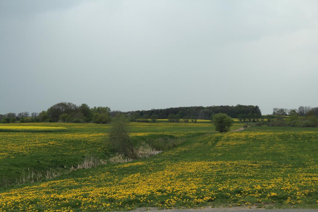 Forsthaus Garz Maison d'hôtes 3*
